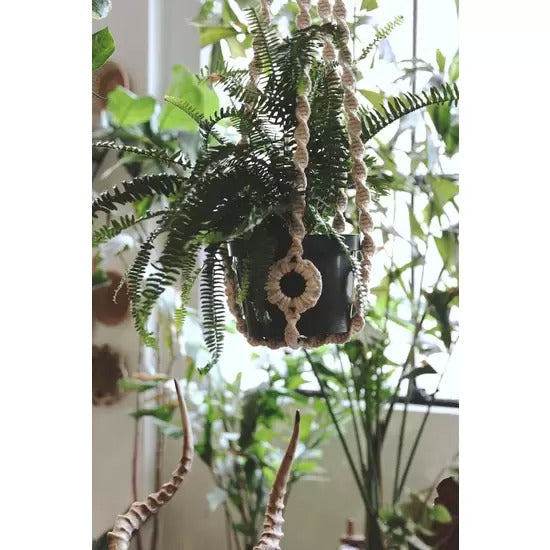 Macrame Plant Hanger Sand 36 Inch | California 89