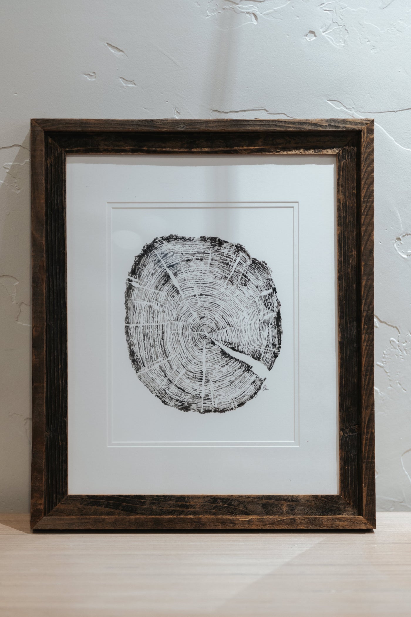 16 x 20 Tree Ring Print Framed with Matte