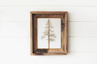 8 x 10 Jeffrey Pine Print