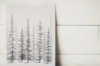 11 x 14 Sketched Pine Trees Print