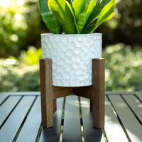 Beehive Ceramic Planter on Wood Stand 5.5 Inch | California 89