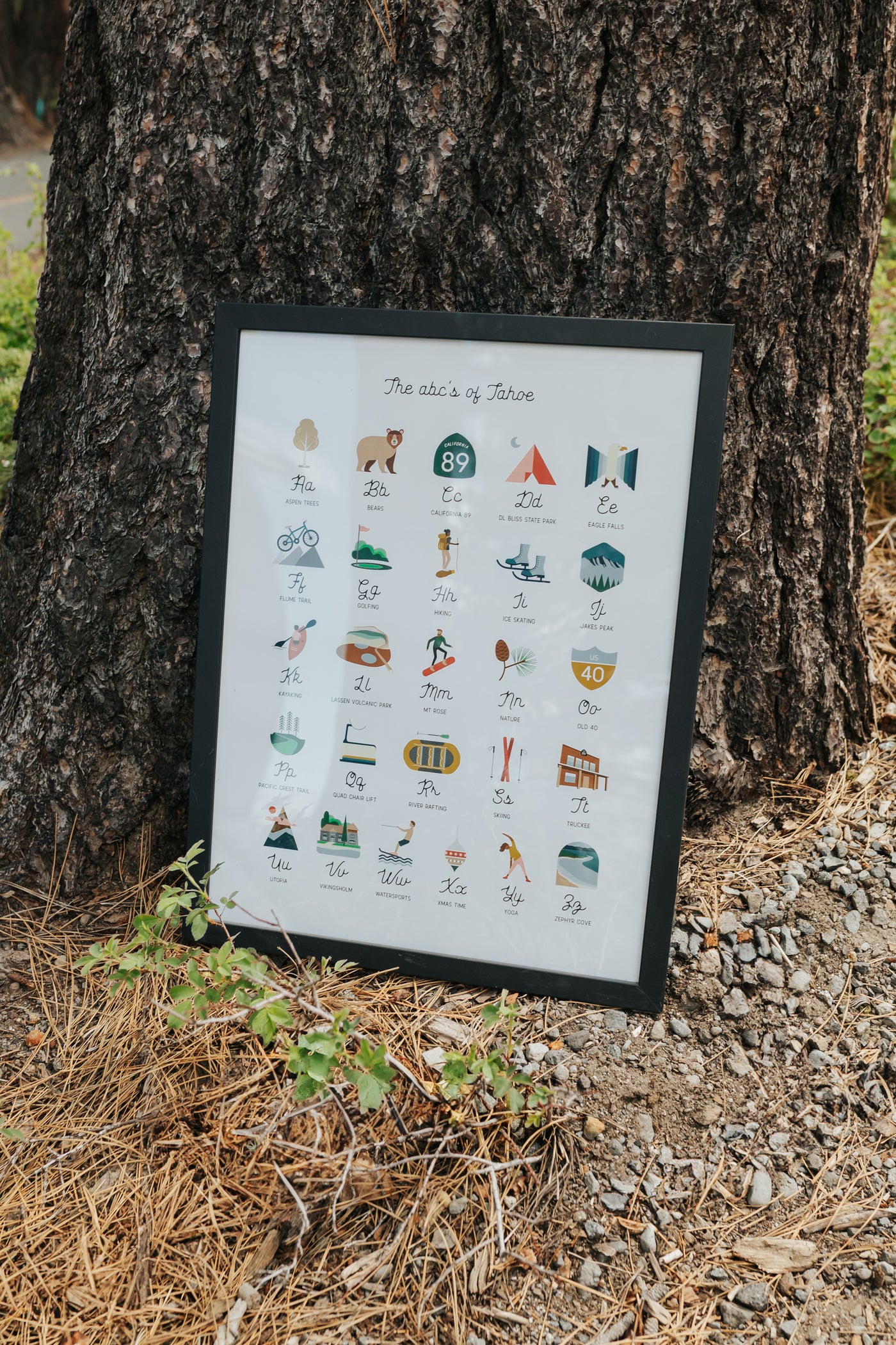 ABC's of Tahoe Framed Poster
