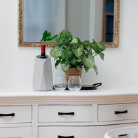 Corvi Wine Cooler