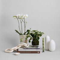 Small Wood Chain Decorative | California 89