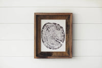 8 x 10 Tree Ring Print