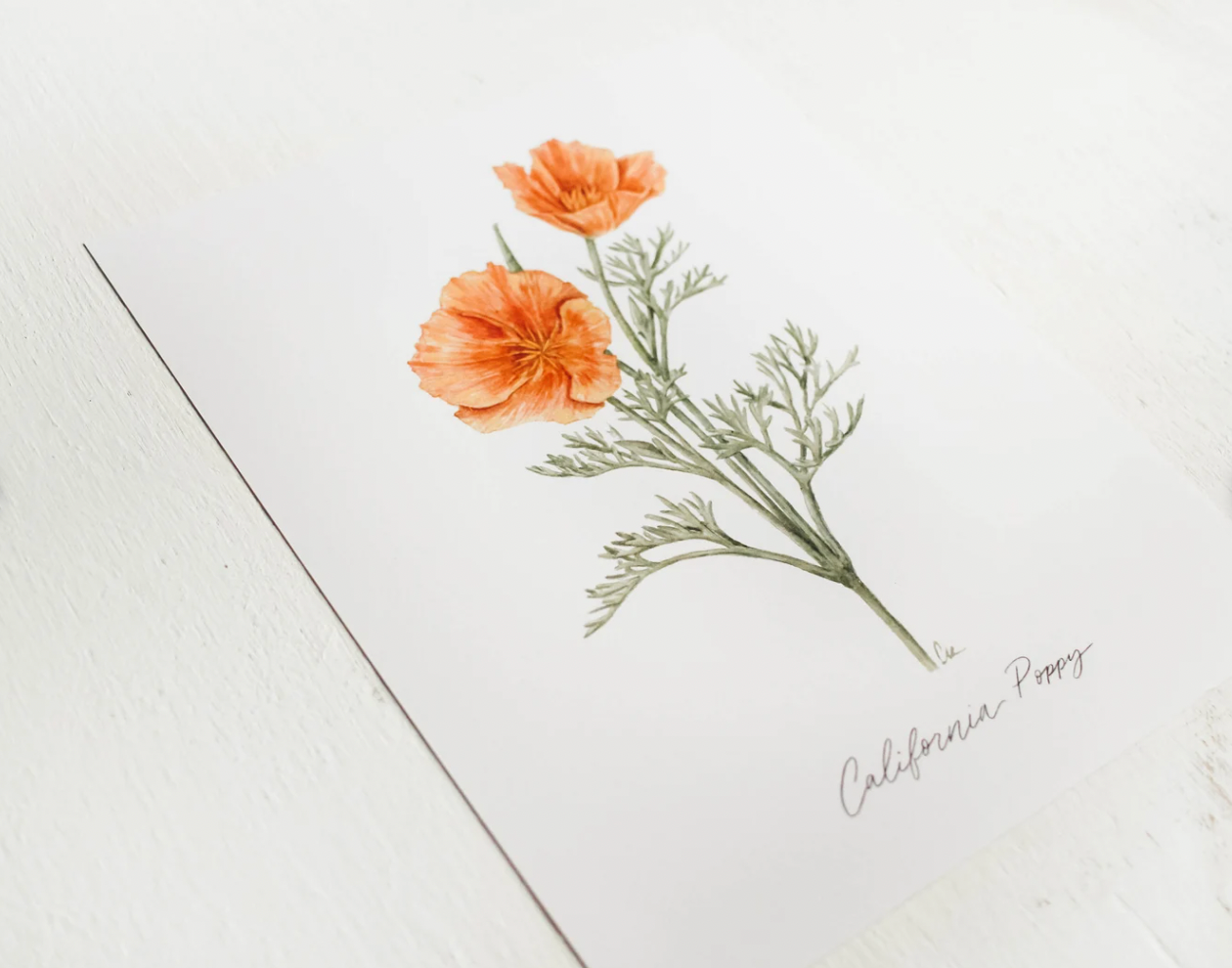 11 x 14 California Poppy Print