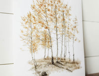 11 x 14 Aspens Print
