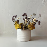 Dried Natural Yarrow | California 89