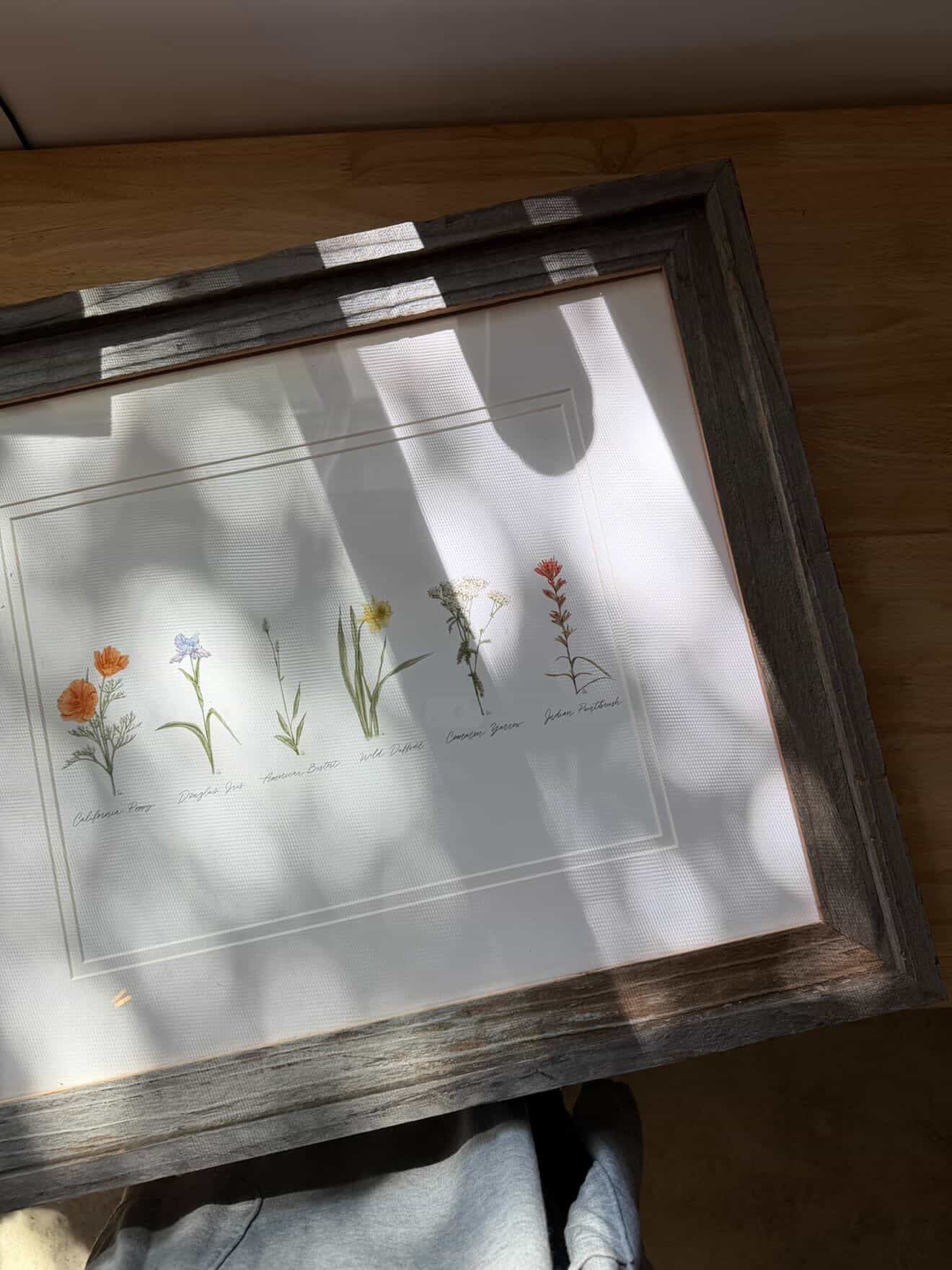 16x20 Framed Collection of Wildflowers Print with Matte | California 89