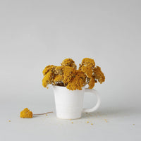 Dried Natural Yarrow | California 89