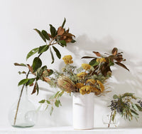 Dried Natural Yarrow | California 89