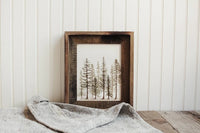 8 x 10 Pine Trees Print