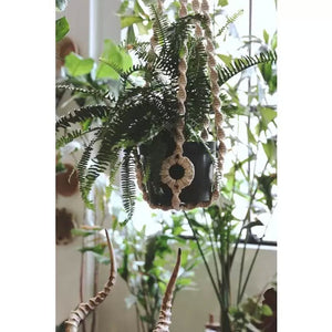 Macrame Plant Hanger Sand