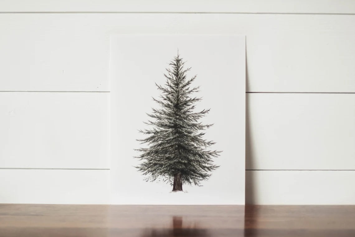 11 x 14 Evergreen Print