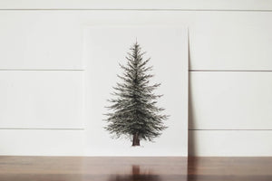 11 x 14 Evergreen Print