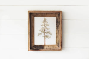 Framed 8 x 10 Jeffrey Pine Print