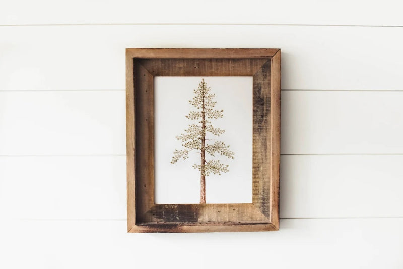 Framed 8 x 10 Jeffrey Pine Print