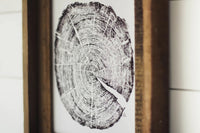 8 x 10 Tree Ring Print