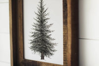 Framed 11 x 14 Evergreen Print