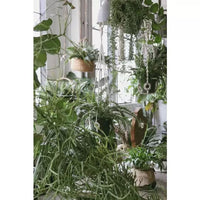 Plant Hanger with Wooden Rings