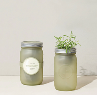 Garden Jar | California 89