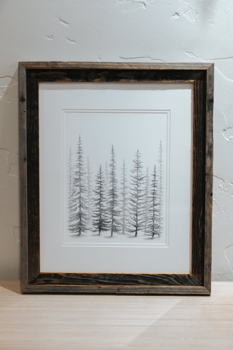 16 x 20 Sketched Pine Trees Print Framed with Matte