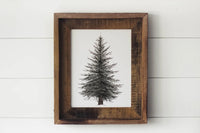 11 x 14 Evergreen Print