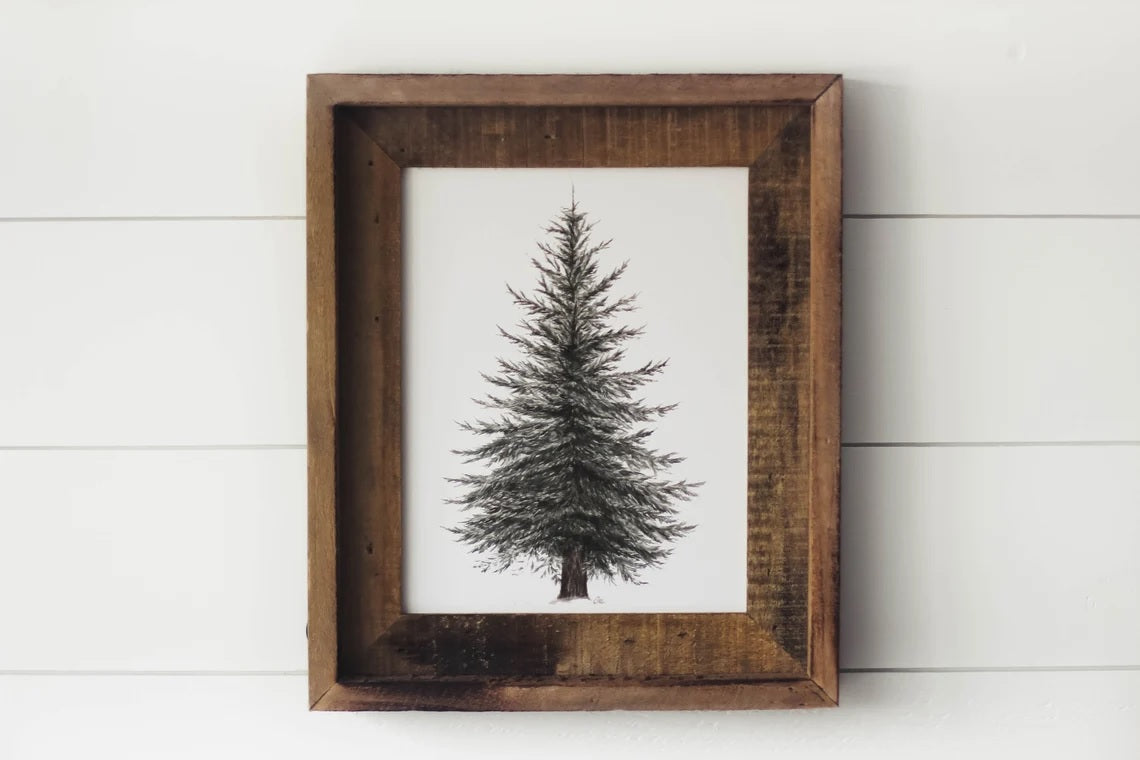 Framed 8 x 10  Evergreen Print