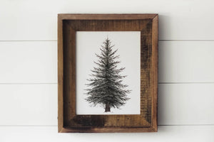 Framed 11 x 14 Evergreen Print
