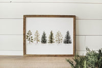 11 x 14 Collection of Evergreens Print