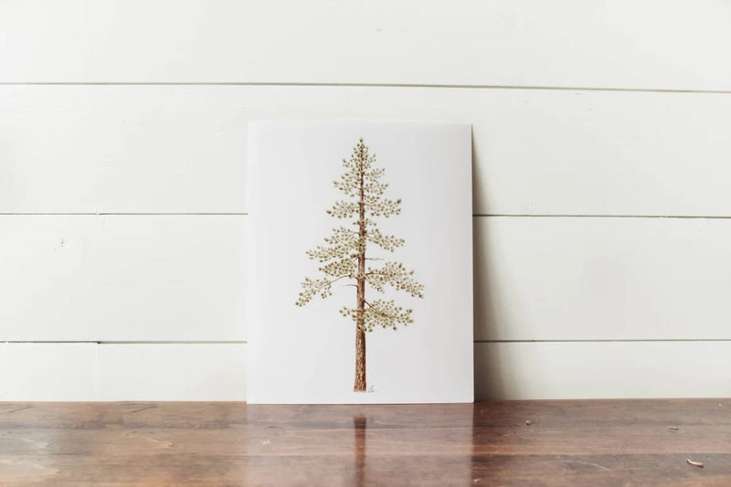 11 x 14 Jeffrey Pine Print