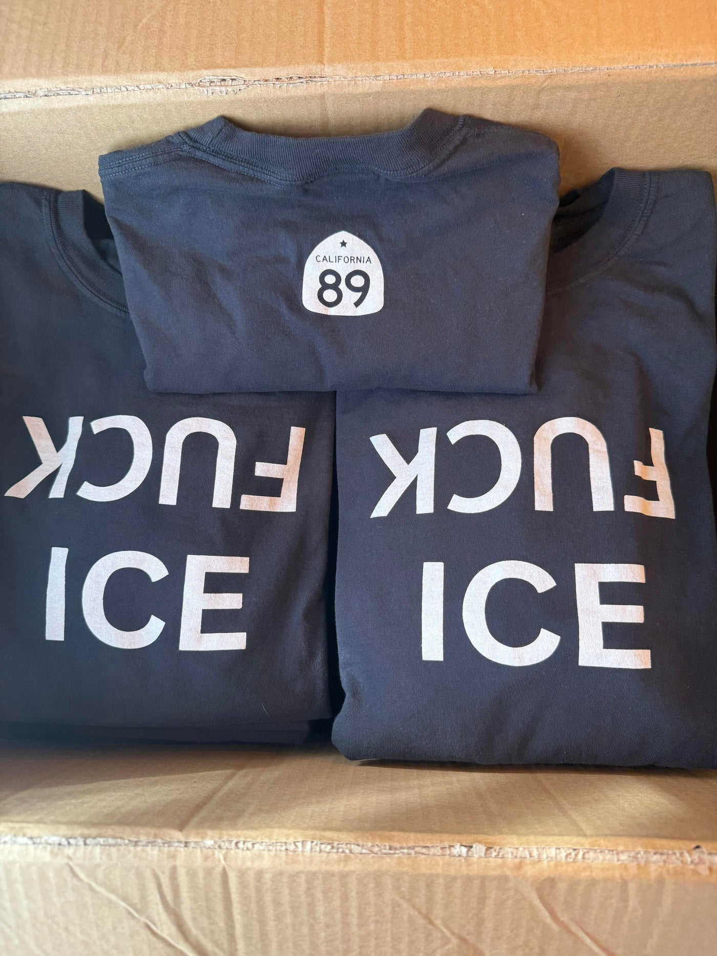 FUCK ICE Unisex Short Sleeve T-Shirt