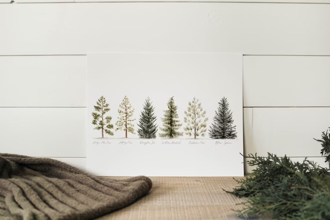 11 x 14 Collection of Evergreens Print