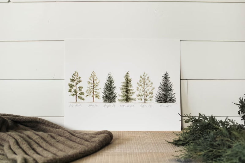 11 x 14 Collection of Evergreens Print