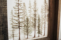 Framed 11 x 14 Pine Trees Print