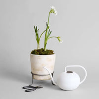 Beatrix Watering Can | California 89