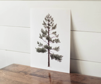 8x10 Lodgepole Pine Watercolor Print | California 89