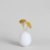 Dried Natural Yarrow | California 89