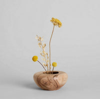 Dried Natural Yarrow | California 89