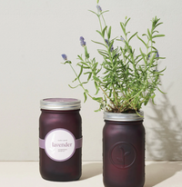 Garden Jar | California 89