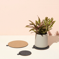 Plant Trivet Set of 3