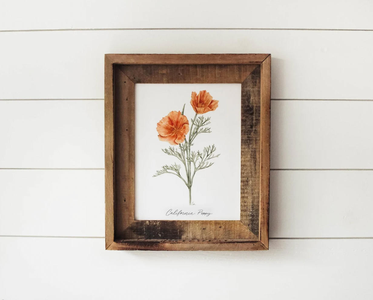 Framed 11x14 California Poppy Print | California 89