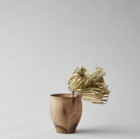 Dried Banksia Set of 3 | California 89