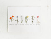 11x14 Collection of Wildflowers Watercolor Print | California 89