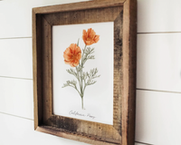 Framed 11x14 California Poppy Print | California 89