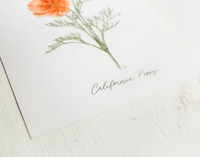 8 x 10 California Poppy Print