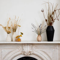 Dried Natural Yarrow | California 89