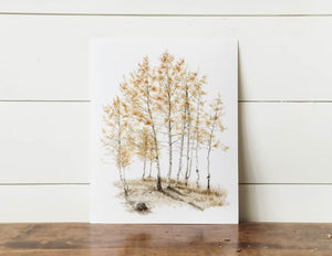 8 x 10 Aspens Print