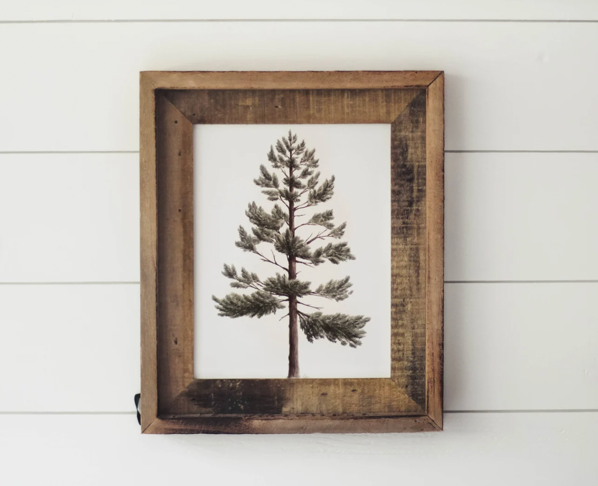 Framed 11x14 Lodgepole Pine Print | California 89