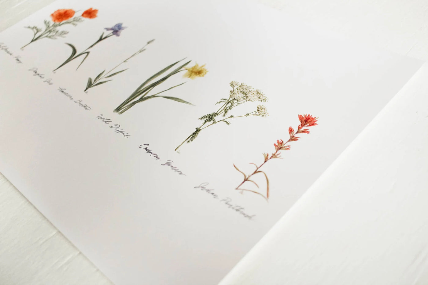 8x10 Collection of Wildflowers Watercolor Print | California 89